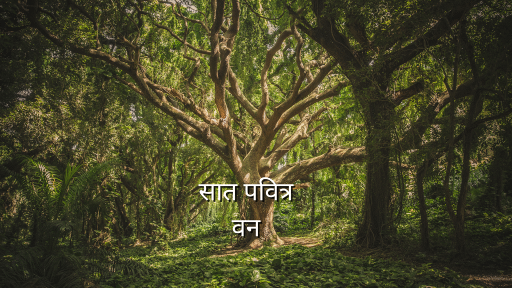 पवित्र वन