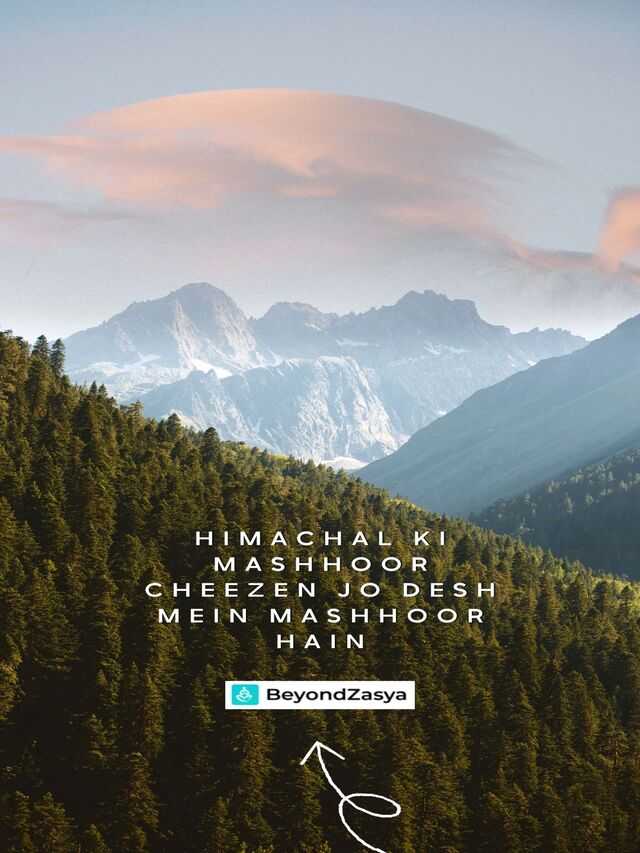 himachal ki mashur cheez