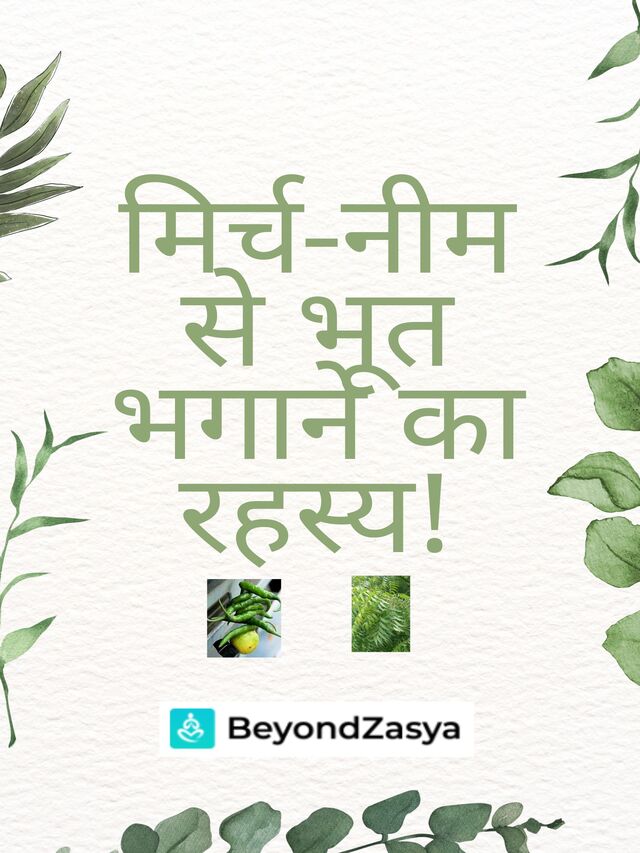 मिर्च-नीम से भूत भगाने का रहस्य